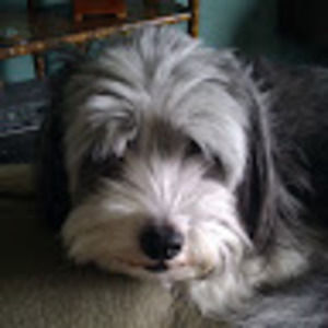 Meet your Posher, Wendy